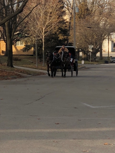 Parkersburg Chamber of Commerce's Downtown in December 2019