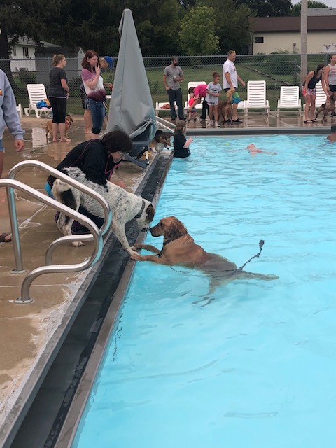 Parkersburg Chamber of Commerce's Doggy Dip