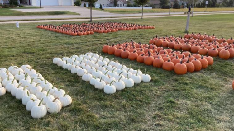 Kolder Pumpkins continue decades long tradition of providing pumpkins to Parkersburg